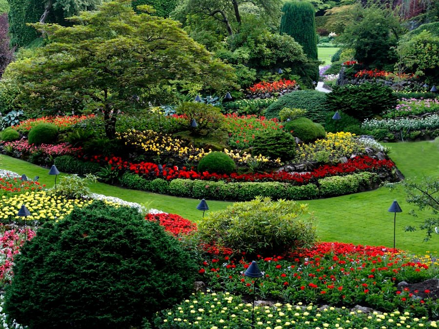 Layered flower beds and shaped shrubs in a well-maintained garden